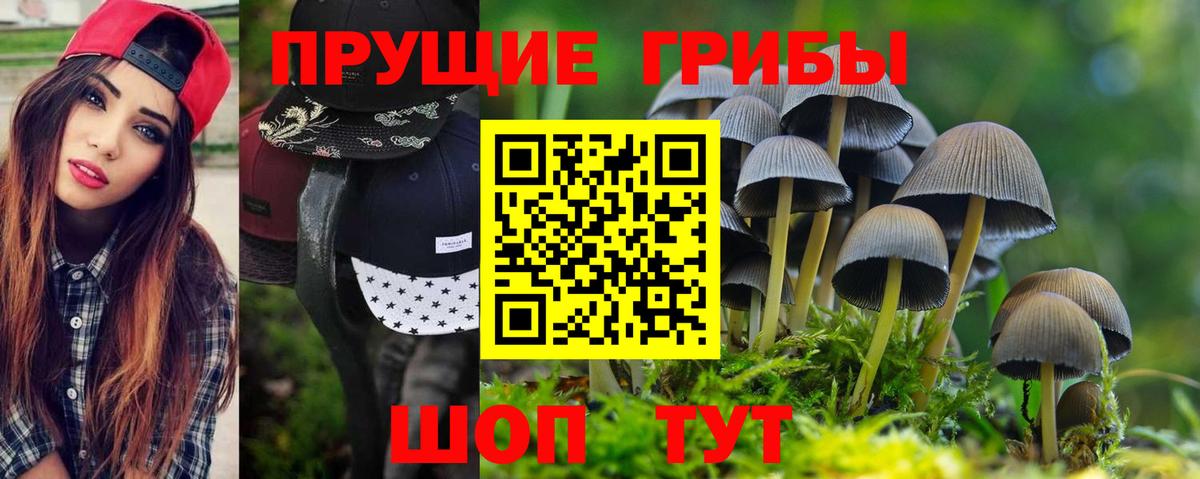 Псилоцибиновые грибы прущие грибы  Вход с VPN  Люберцы 